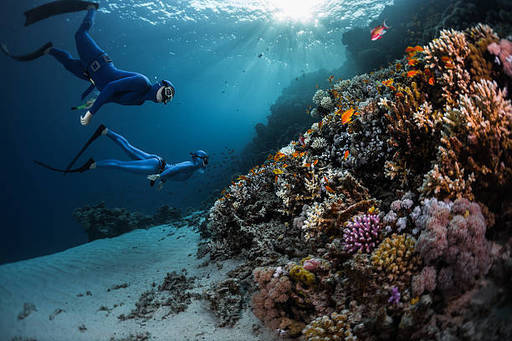 freedivers.jpg