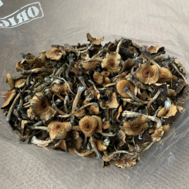 Dreamweaver-mushrooms-2-bag.png